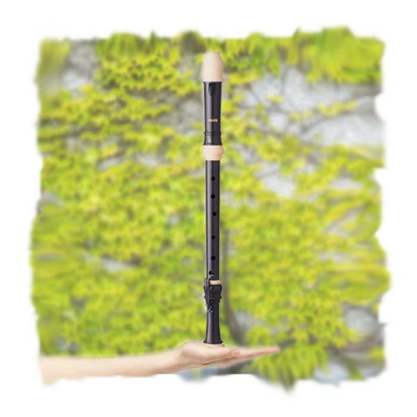 Tenor Recorder - History | Normans Blog