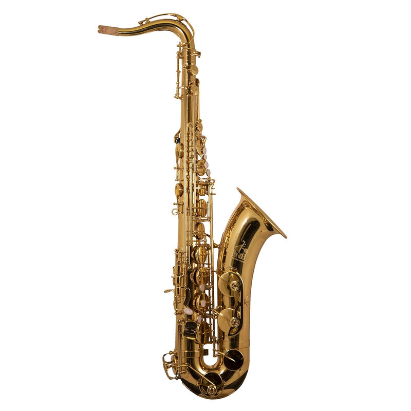 Trevor James 'The Horn' Tenor Sax Outfit - Gold Lacquer