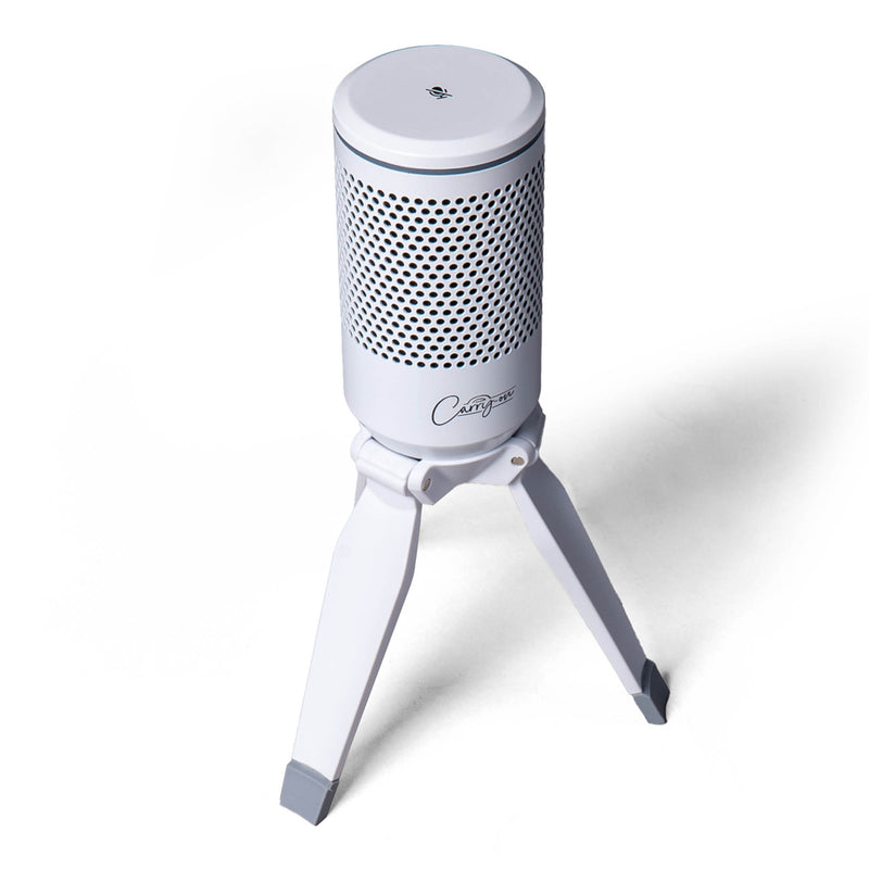 Carry-On Foldable USB Microphone