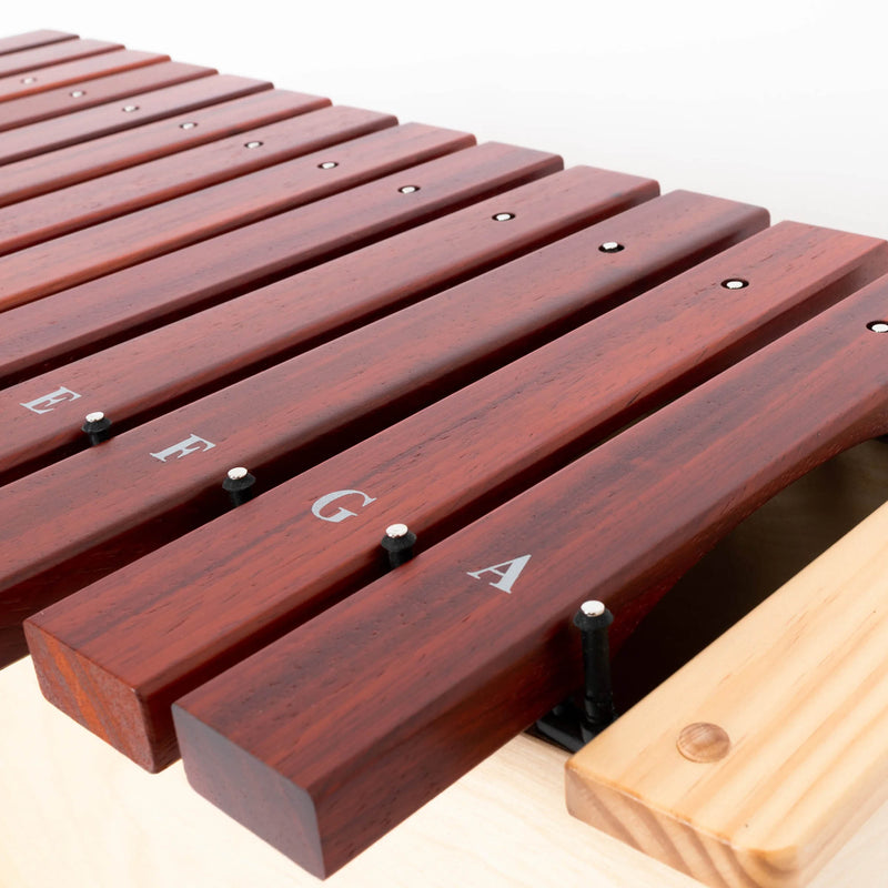 Percussion Plus Harmony Bass Diatonic Xylophone